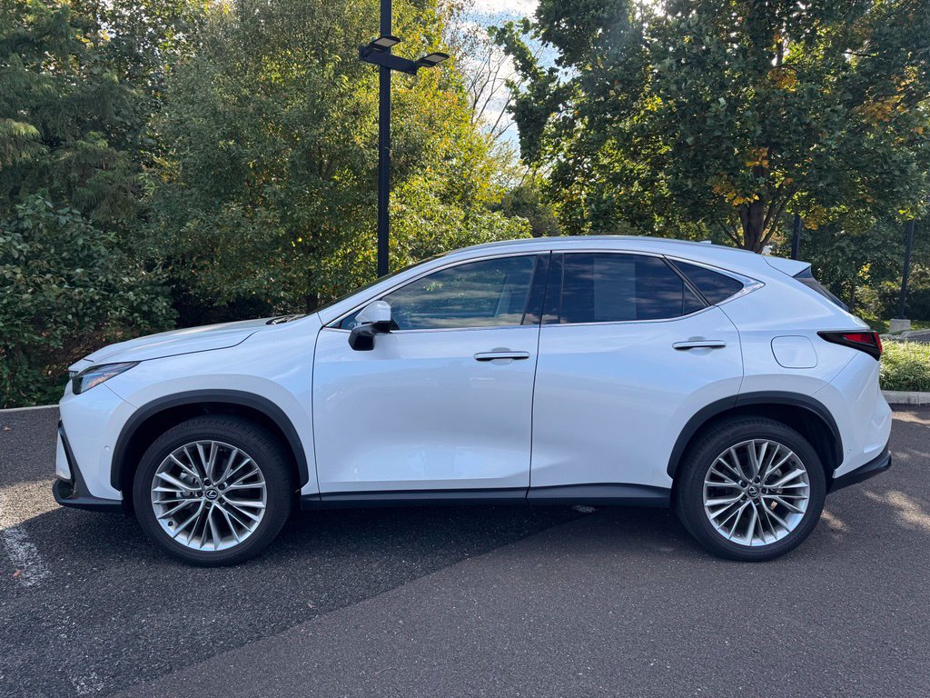 Certified 2025 Lexus NX 350 AWD w/ Luxury Package image 2