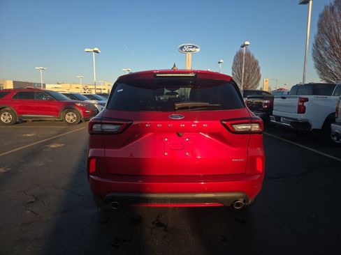 Used 2024 Ford Escape ST-Line w/ Tech Pack #1 image 6