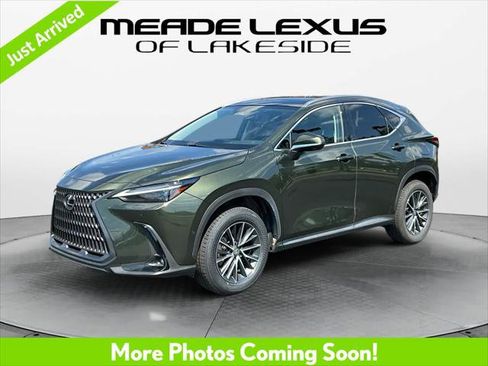 Certified 2025 Lexus NX 350h AWD w/ Cold Area Package image 1