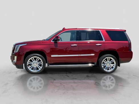 Used 2019 Cadillac Escalade Luxury w/ LPO, Radiant Package AWD/4WD image 3