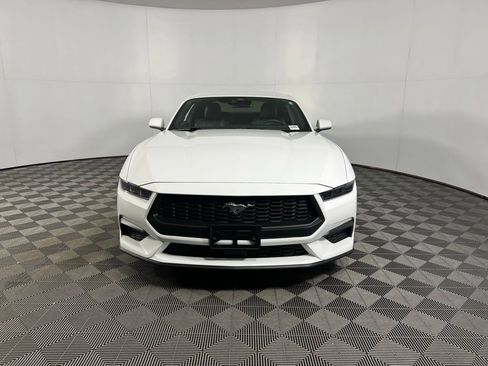 Used 2025 Ford Mustang Premium RWD image 5