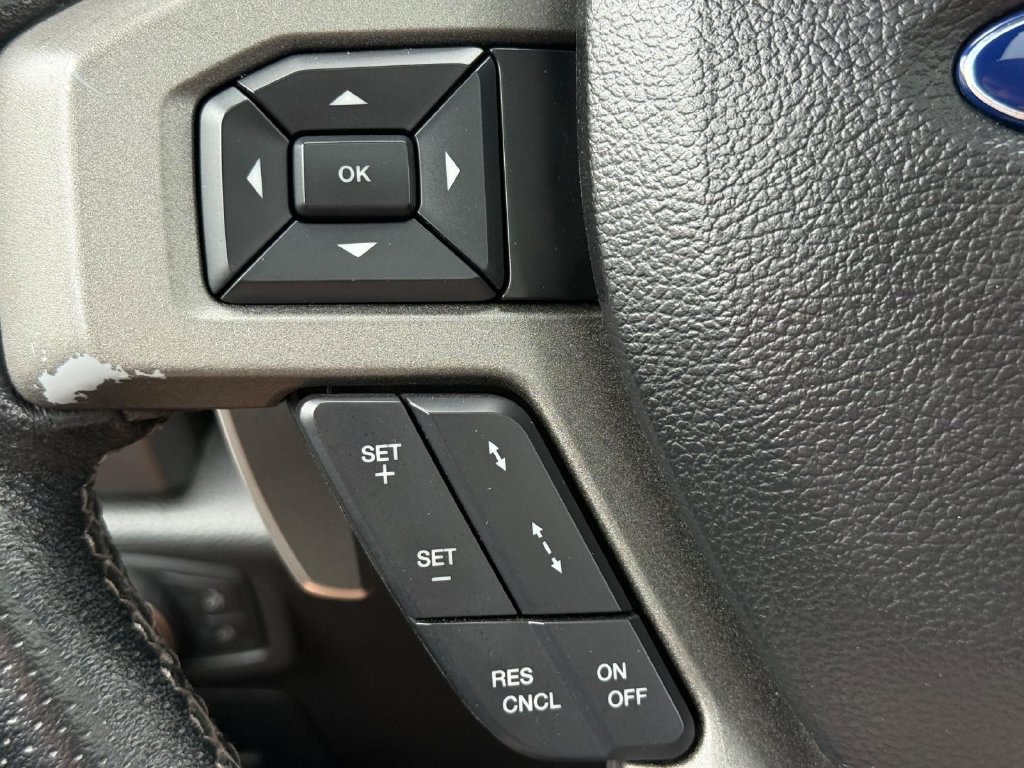 Used 2018 Ford F150 Raptor w/ Equipment Group 802A Luxury AWD/4WD image 16