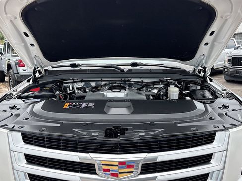 Used 2018 Cadillac Escalade Luxury RWD image 33