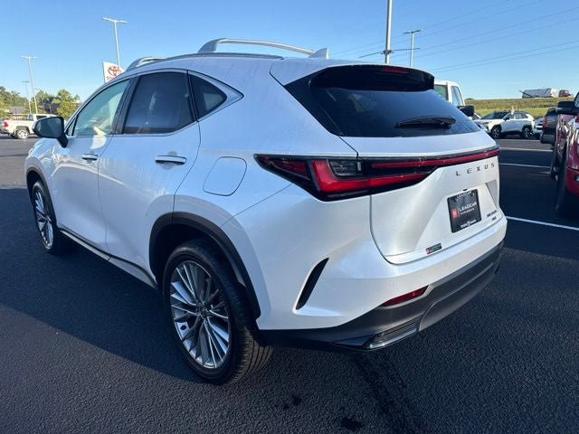 Used 2025 Lexus NX 350h AWD w/ Accessory Package (2T) image 9