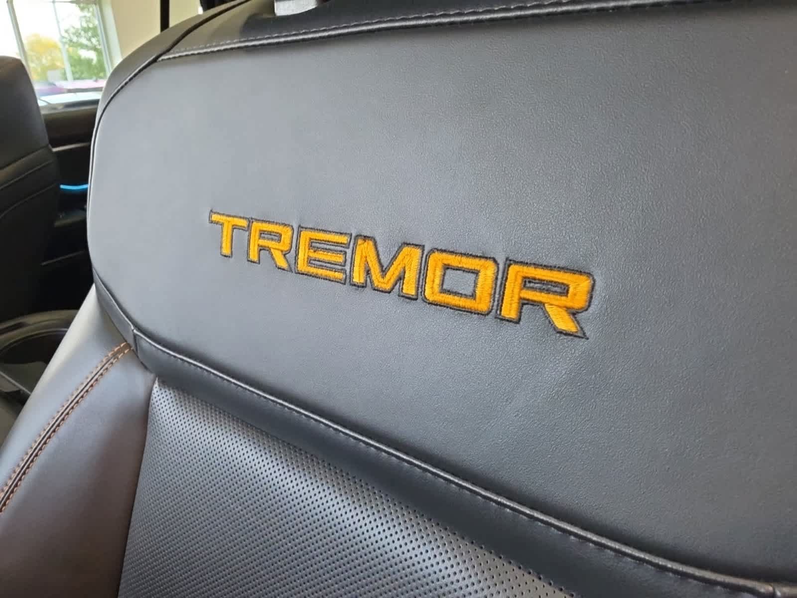 Used 2025 Ford Expedition Tremor AWD/4WD image 19