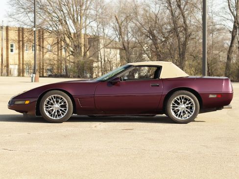 Used 1995 Chevrolet Corvette Convertible image 4