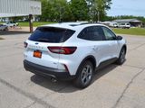 New 2025 Ford Escape ST-Line image 6