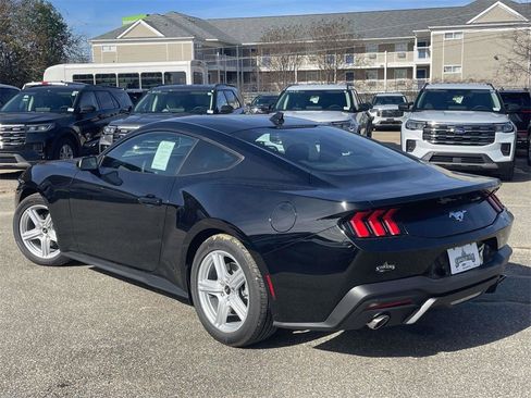 New 2026 Ford Mustang EcoBoost image 5
