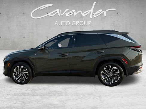 Used 2025 Hyundai Tucson Limited FWD image 13