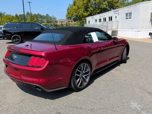 Used 2017 Ford Mustang Premium RWD image 3