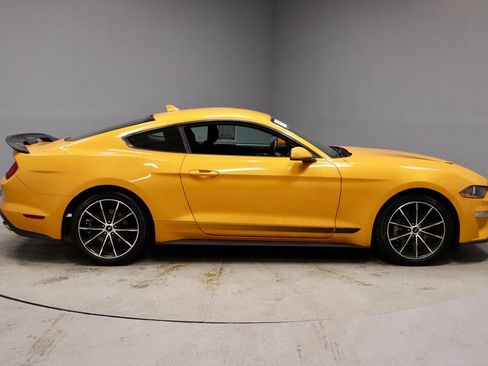 Certified 2022 Ford Mustang EcoBoost w/ Equipment Group 101A image 5