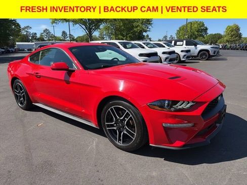 Used 2023 Ford Mustang Premium image 1