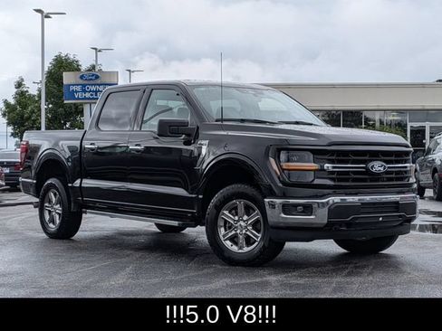 Used 2025 Ford F150 XLT w/ Equipment Group 301A Standard AWD/4WD image 2