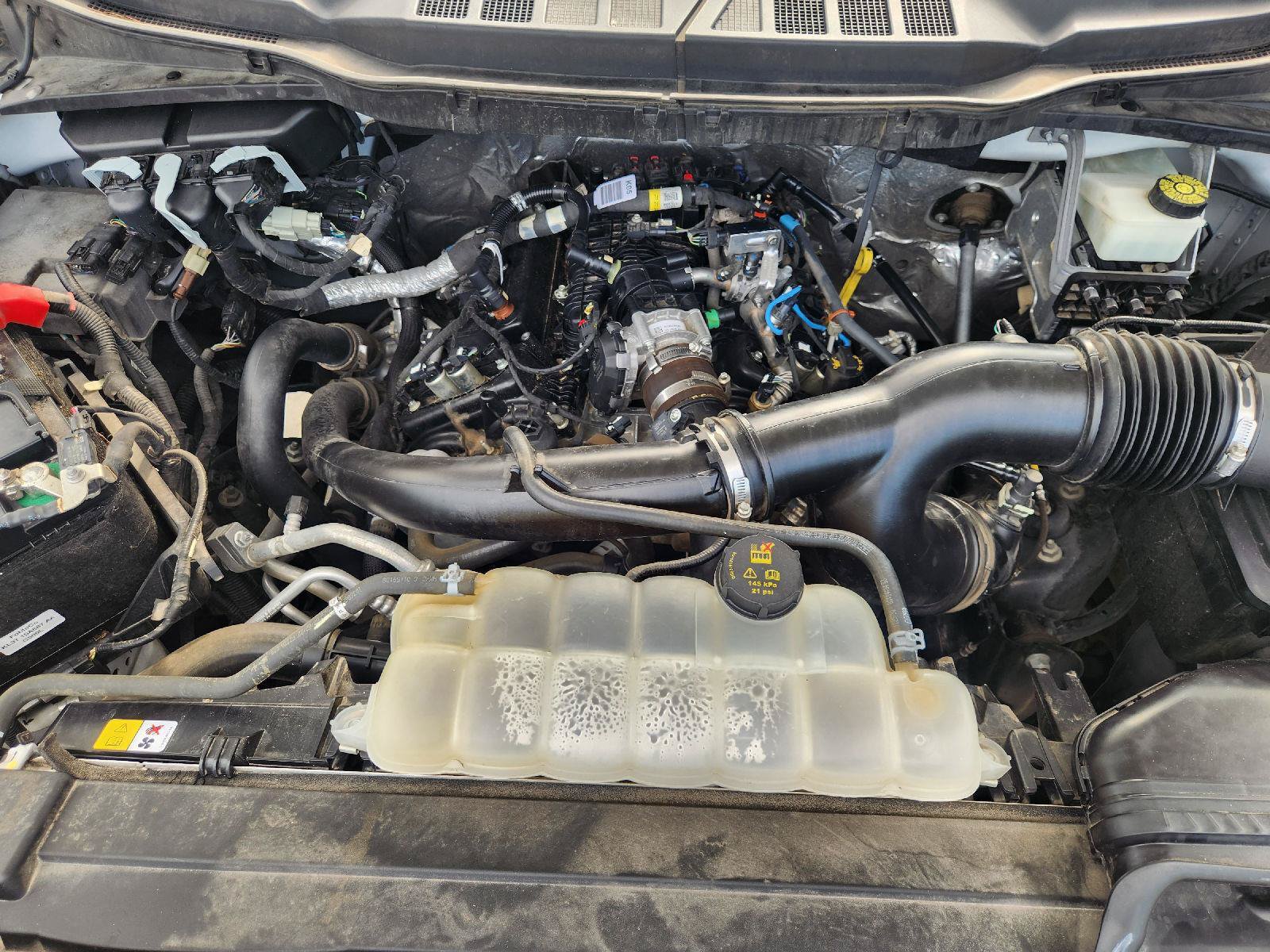 Used 2022 Ford F150 XL w/ STX Appearance Package RWD image 32