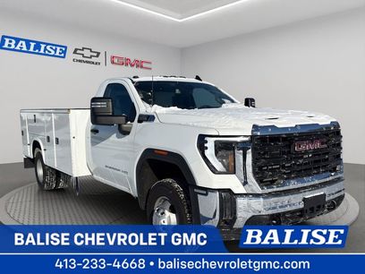 New 2025 GMC Sierra 3500 Pro w/ Convenience Package