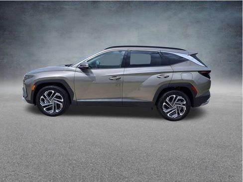 Used 2025 Hyundai Tucson Limited AWD/4WD image 5