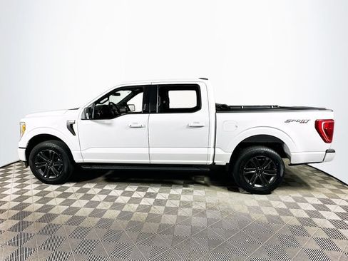 Used 2023 Ford F150 XLT w/ Equipment Group 302A High AWD/4WD image 6