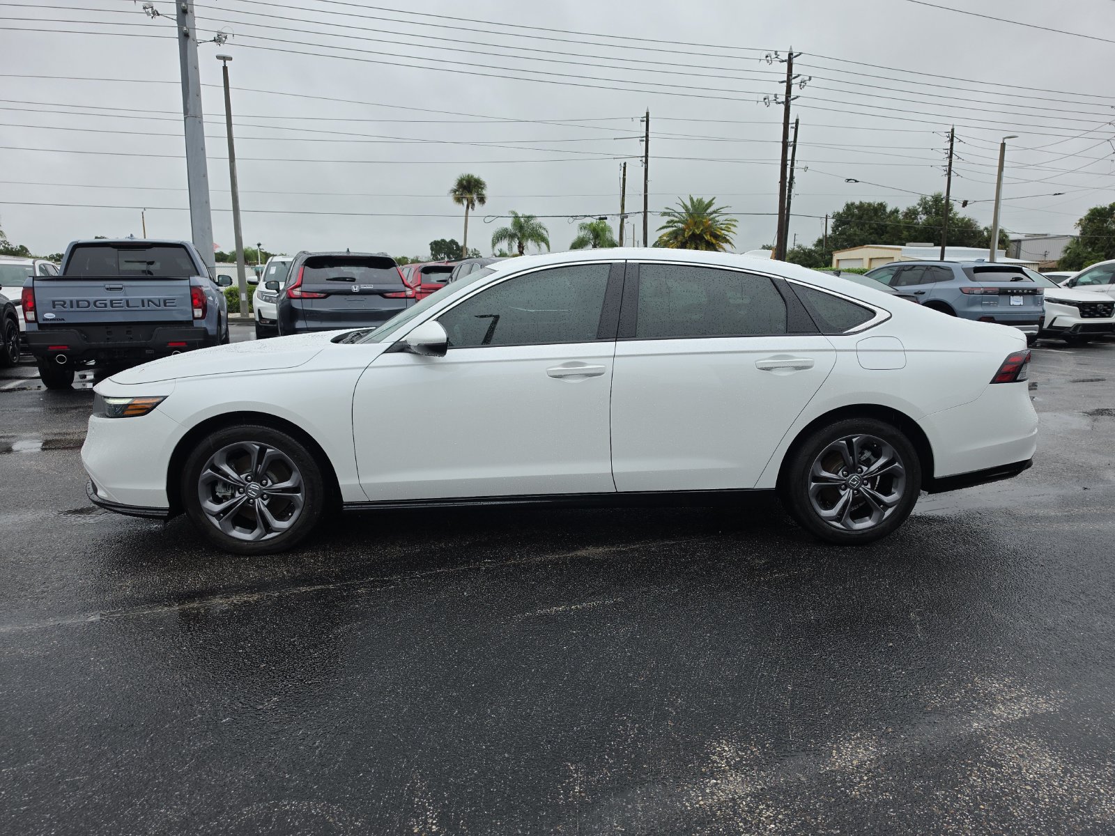 Used 2025 Honda Accord EX-L image 5