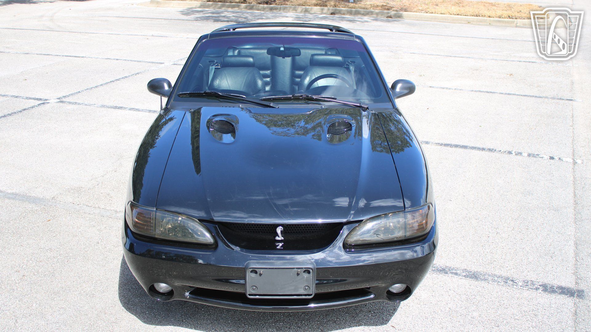 Used 1997 Ford Mustang Cobra RWD image 7