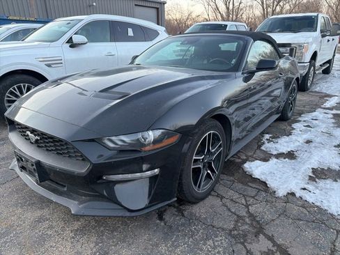 Used 2023 Ford Mustang Premium image 1