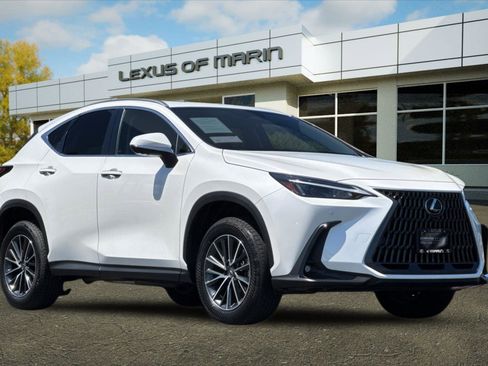 Used 2025 Lexus NX 350h AWD w/ Cold Area Package image 7