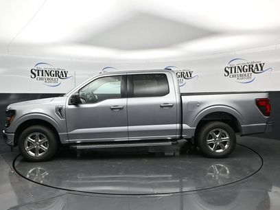 Used 2025 Ford F150 XLT w/ Equipment Group 301A Standard