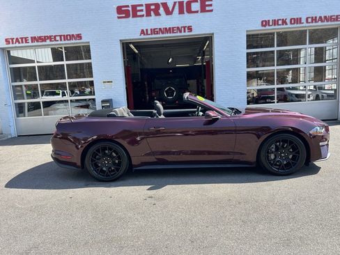 Used 2018 Ford Mustang Convertible w/ Ecoboost Performance Package image 14