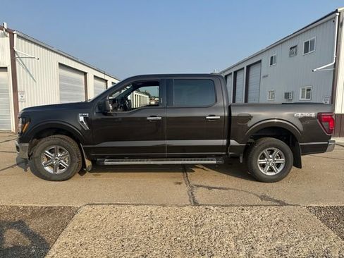 Certified 2024 Ford F150 XLT AWD/4WD image 7
