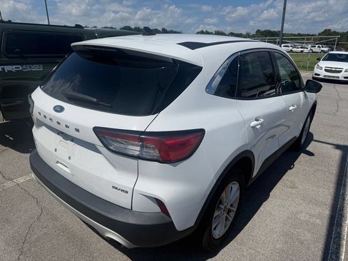 Used 2020 Ford Escape SE AWD/4WD image 4