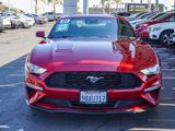 Certified 2021 Ford Mustang Coupe w/ Equipment Group 101A image 2