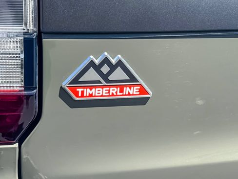 Used 2024 Ford Expedition Timberline AWD/4WD image 41