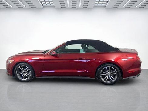 Used 2015 Ford Mustang Premium w/ Equipment Group 201A RWD image 6