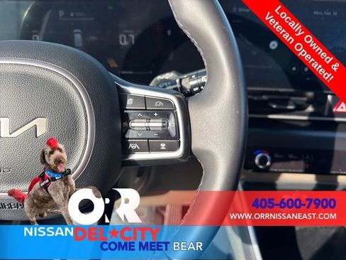 Used 2025 Kia Carnival image 20