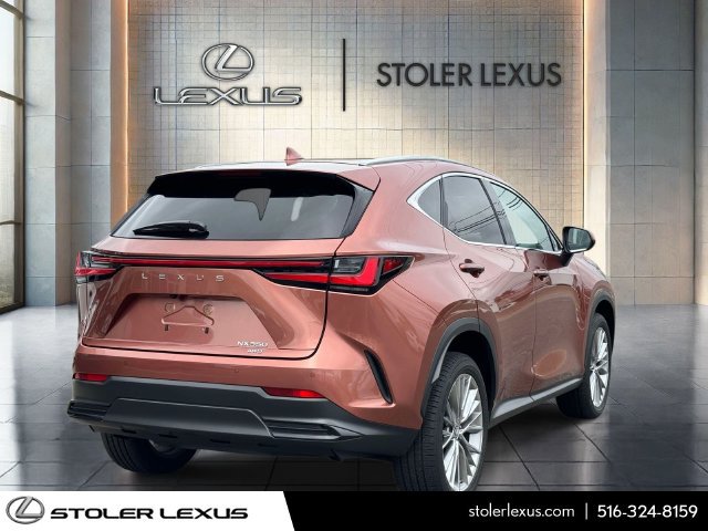 Certified 2025 Lexus NX 350 AWD w/ Cold Area Package image 5