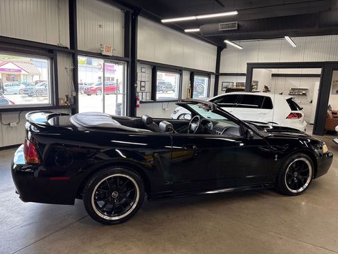 Used 1999 Ford Mustang Cobra RWD image 14