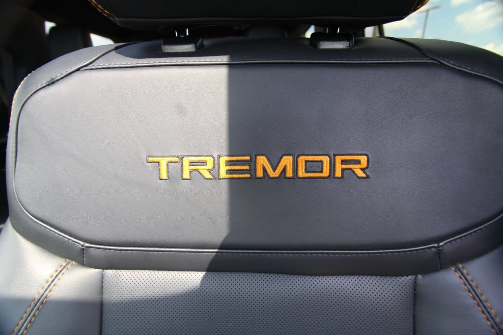 Used 2025 Ford Expedition Tremor AWD/4WD image 7