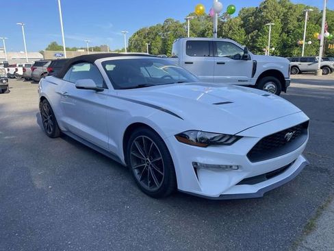 Used 2019 Ford Mustang Premium w/ Equipment Group 201A image 1