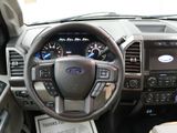 Used 2016 Ford F150 XLT w/ Equipment Group 302A Luxury image 4