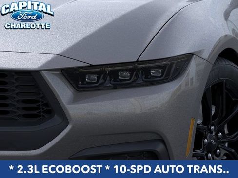 New 2026 Ford Mustang Coupe w/ Mustang Nite Pony Package RWD image 19
