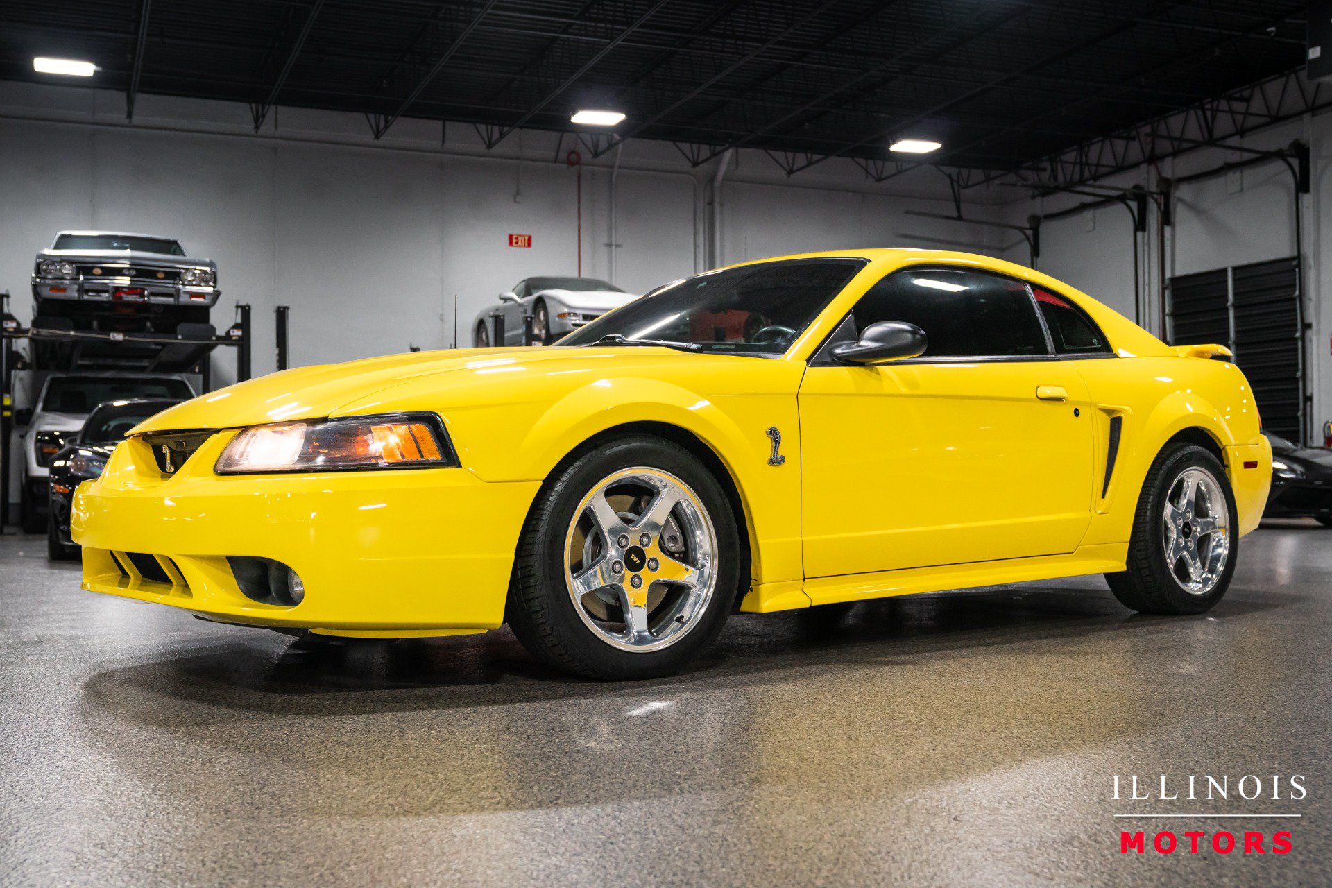 Used 2001 Ford Mustang Cobra RWD image 1