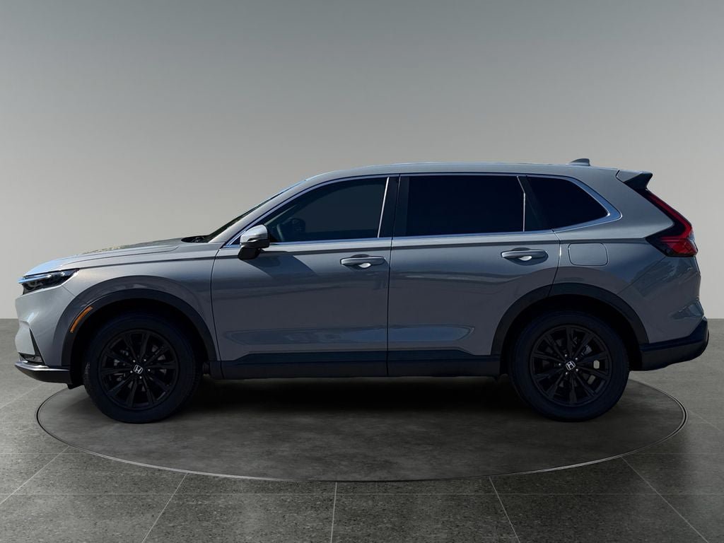 Used 2024 Honda CR-V EX-L image 5
