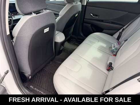 Used 2024 Hyundai Elantra Limited image 14