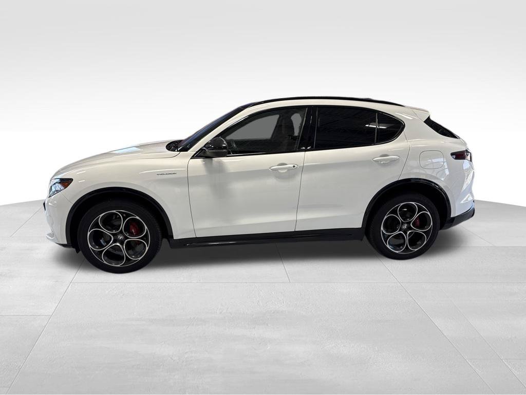 Used 2024 Alfa Romeo Stelvio Veloce AWD/4WD image 3
