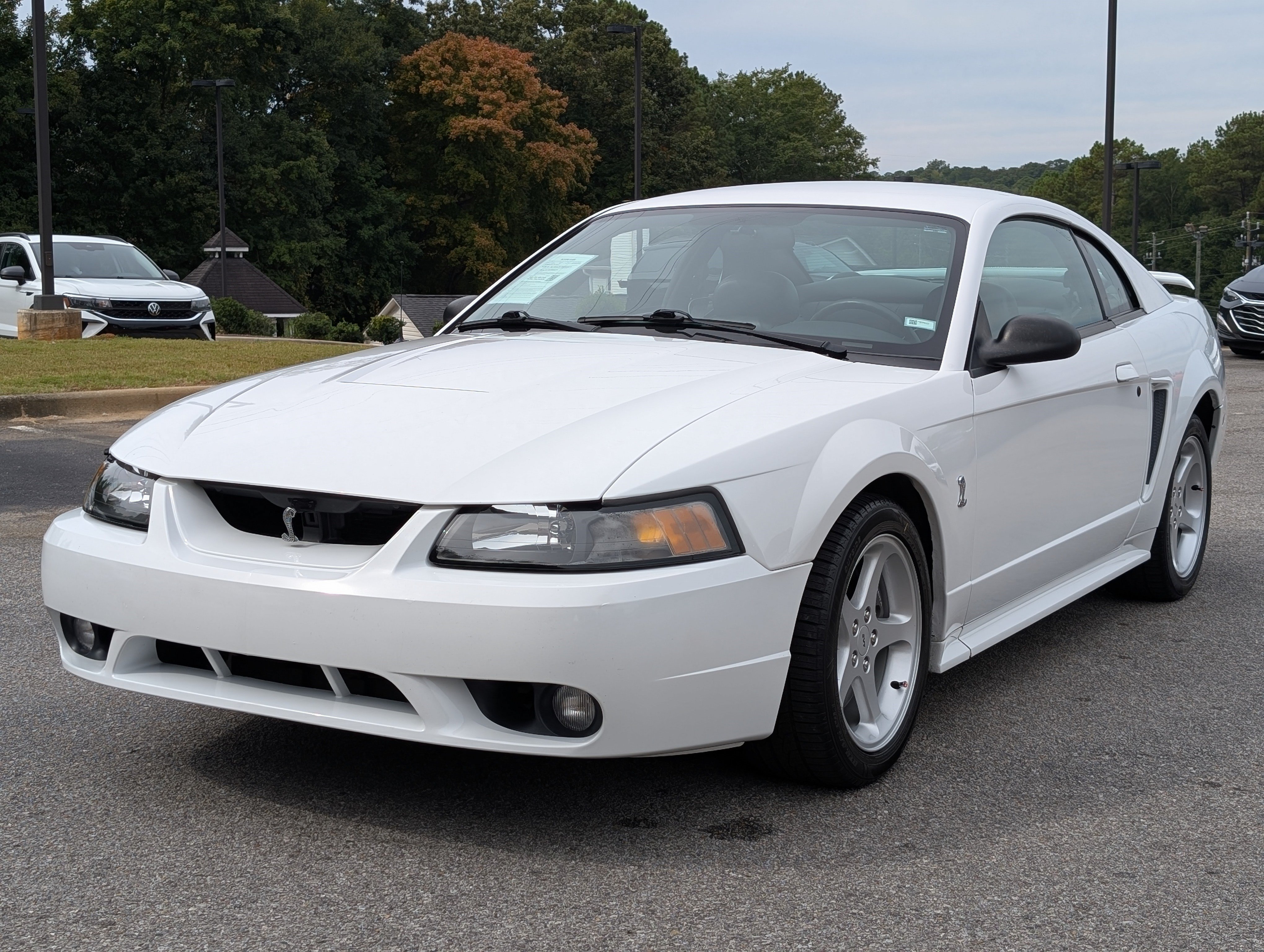 Used 2001 Ford Mustang Cobra RWD image 5