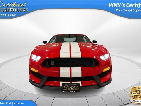 Used 2016 Ford Mustang Shelby GT350 w/ Technology Package RWD image 2