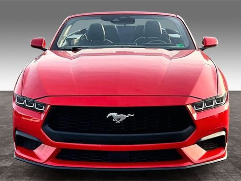 Used 2024 Ford Mustang Convertible image 2