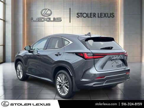 Used 2025 Lexus NX 350 AWD w/ Accessory Package (2T) image 6