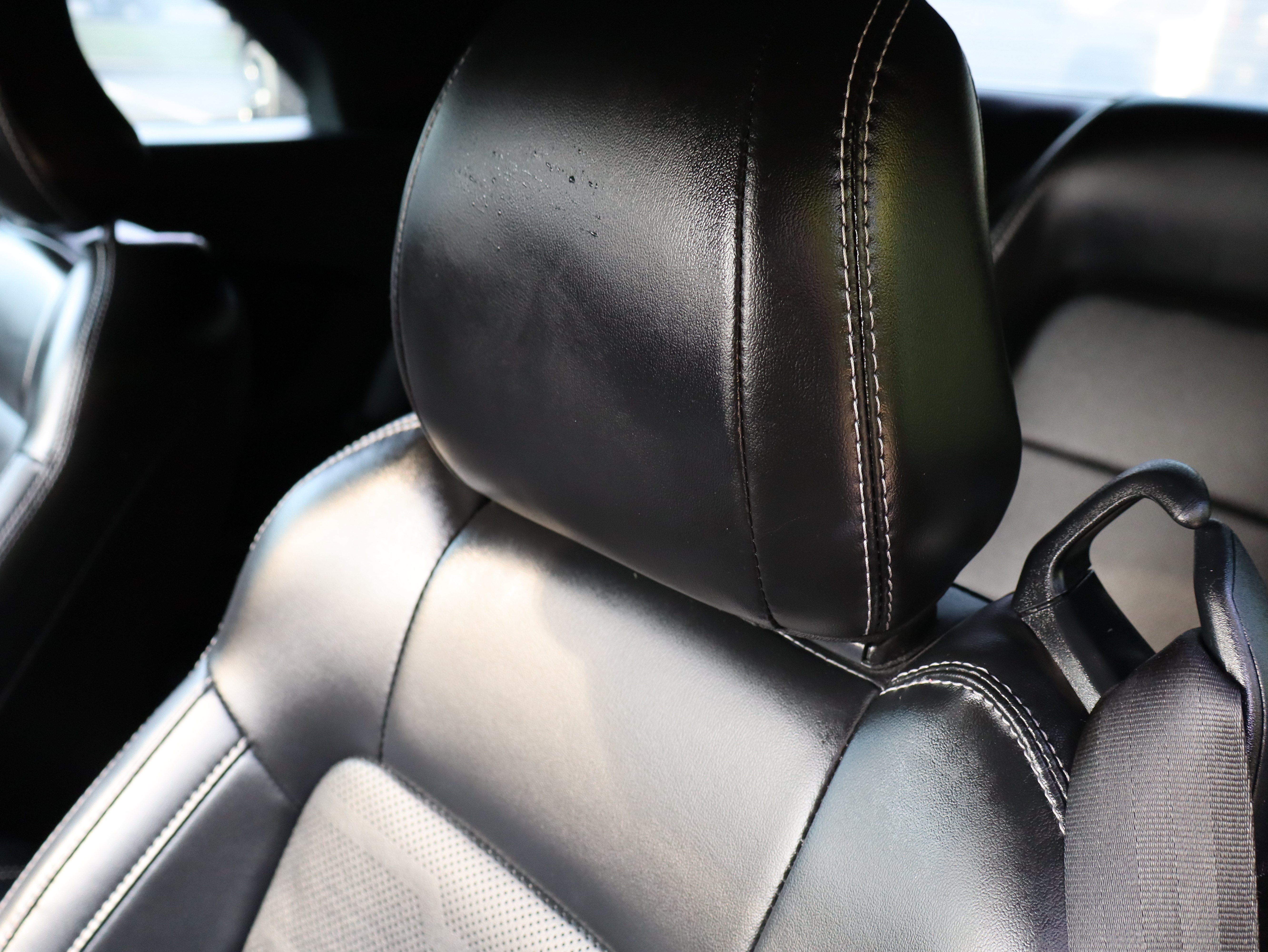 Used 2021 Ford Mustang GT Premium w/ Equipment Group 401A RWD image 45