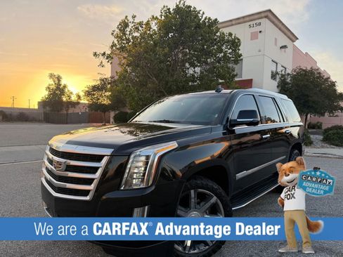 Used 2015 Cadillac Escalade Luxury AWD/4WD image 6