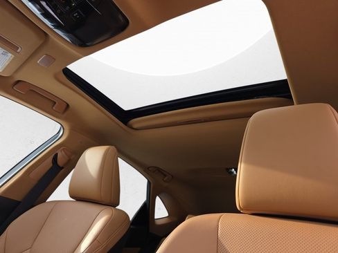 Certified 2025 Lexus NX 350 350h Base w/ Cold Area Package image 29